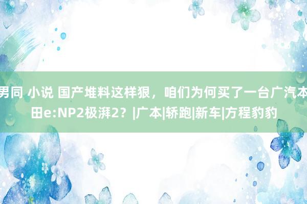 男同 小说 国产堆料这样狠，咱们为何买了一台广汽本田e:NP2极湃2？|广本|轿跑|新车|方程豹豹