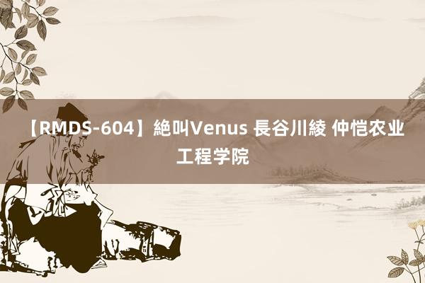 【RMDS-604】絶叫Venus 長谷川綾 仲恺农业工程学院