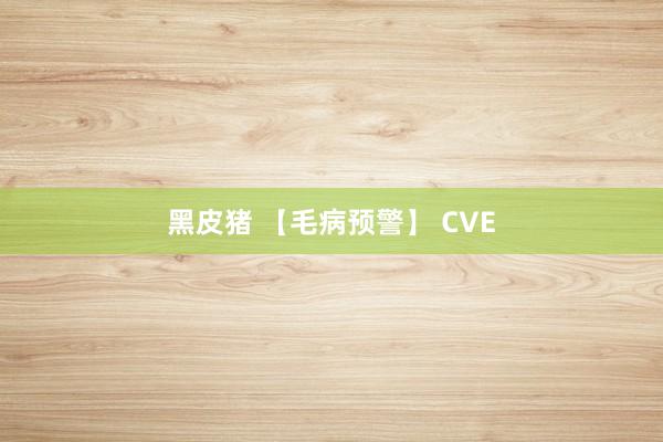 黑皮猪 【毛病预警】 CVE