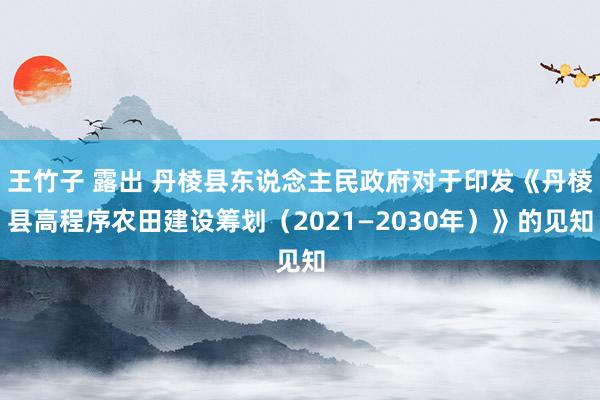 王竹子 露出 丹棱县东说念主民政府对于印发《丹棱县高程序农田建设筹划（2021—2030年）》的见知